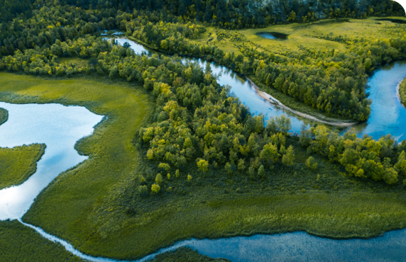 Blick auf saubere Umwelt, Flüsse und Wald